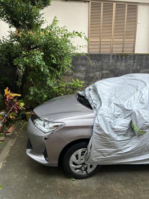 車