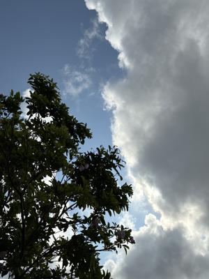 空