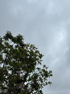 空