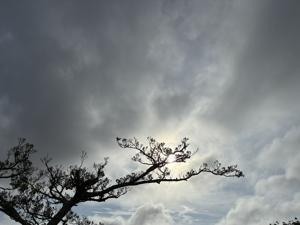 空