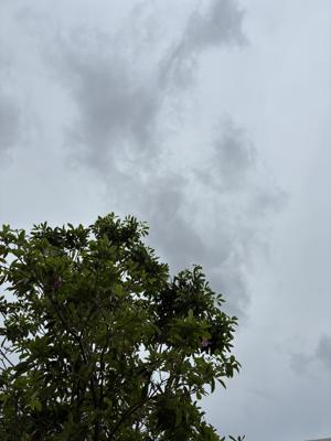 空