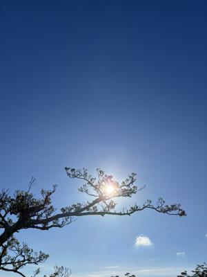 空