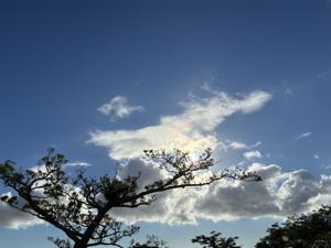 空