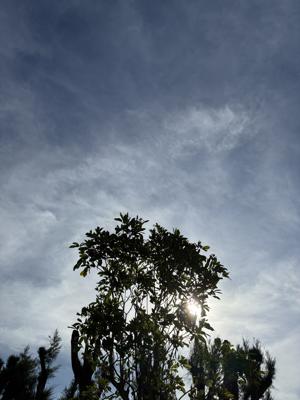 空