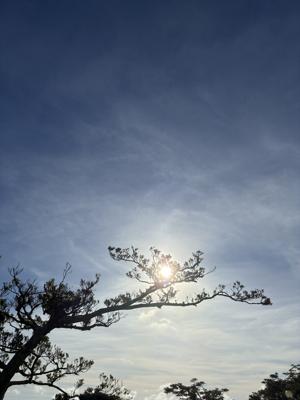 空