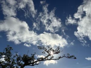 空
