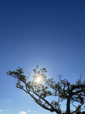 空
