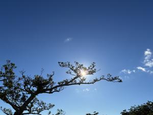 空