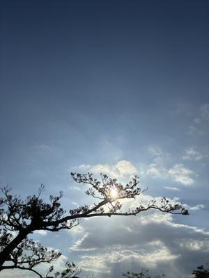 空