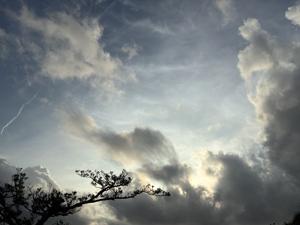 空