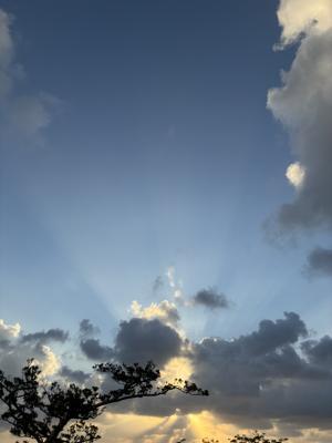 空