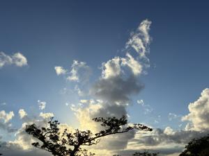 空
