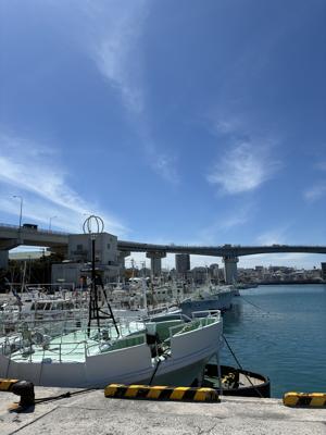 泊魚市場