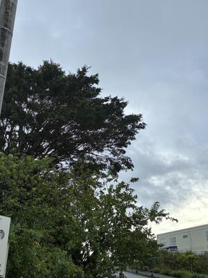 空