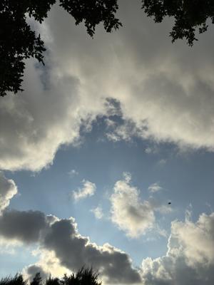 空