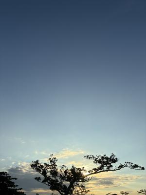 空
