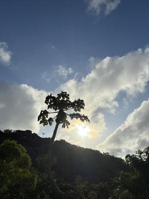 空