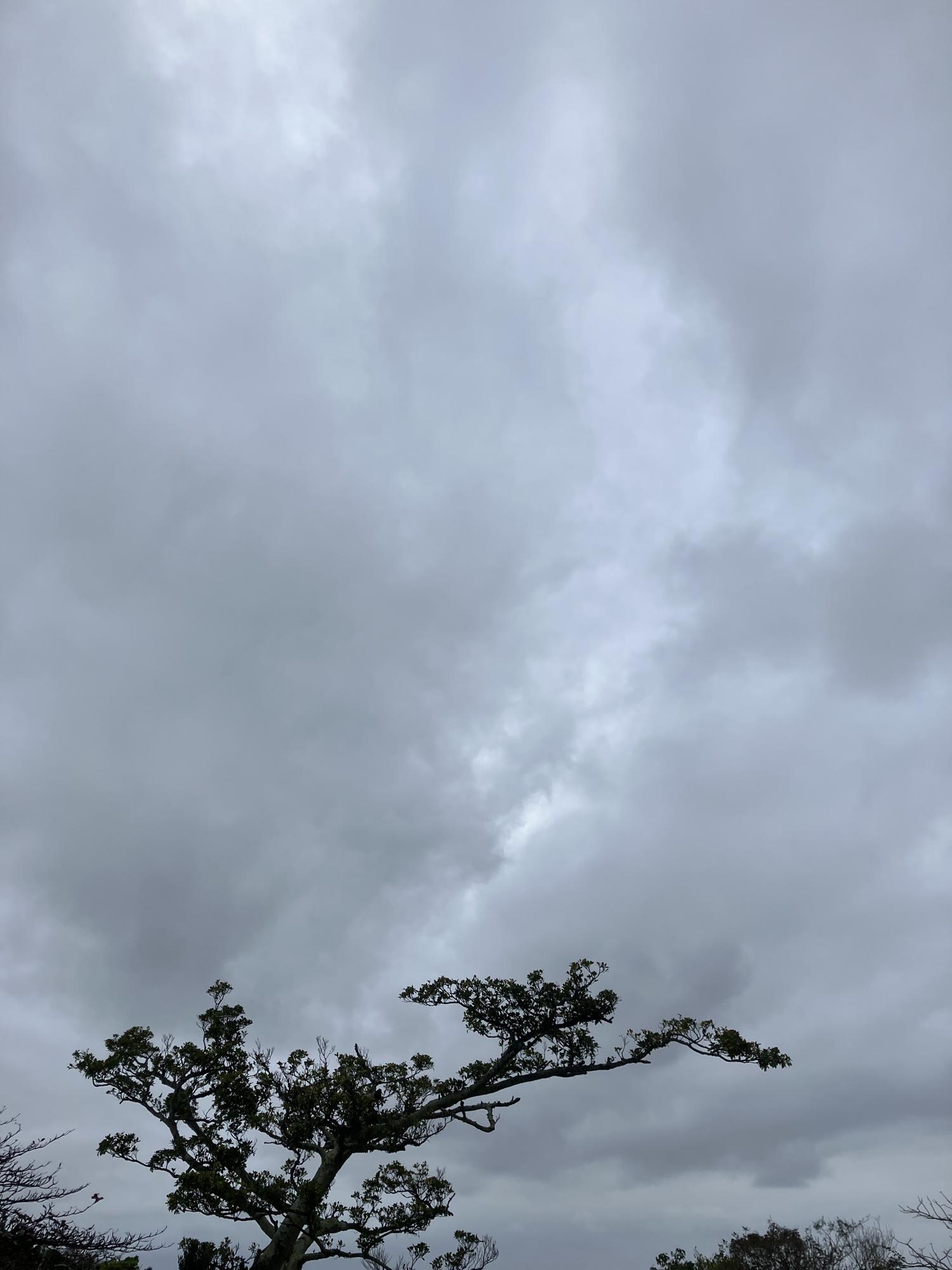 イェスタディの１７時２６分