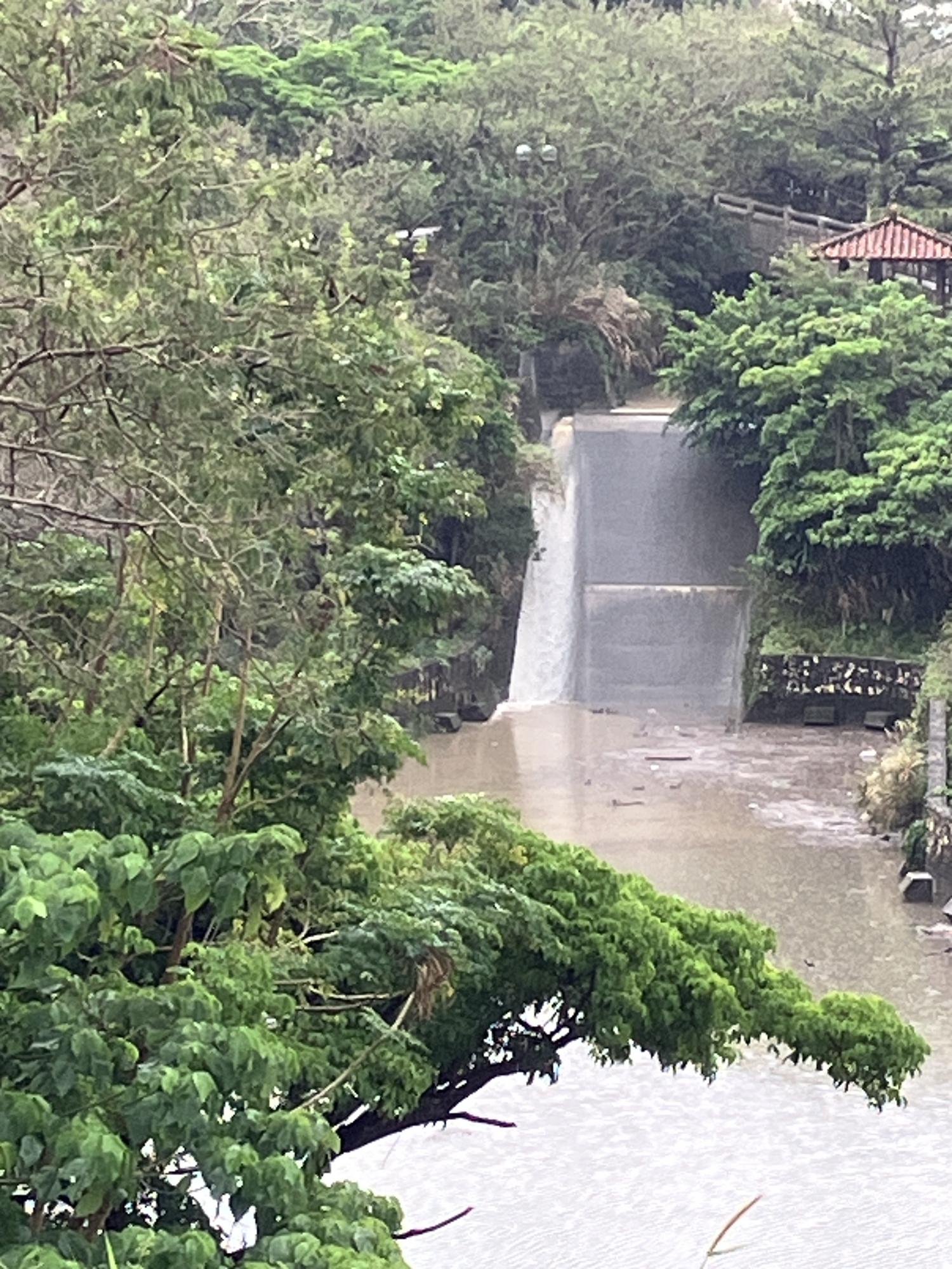 昨日の雨で滝ができていた