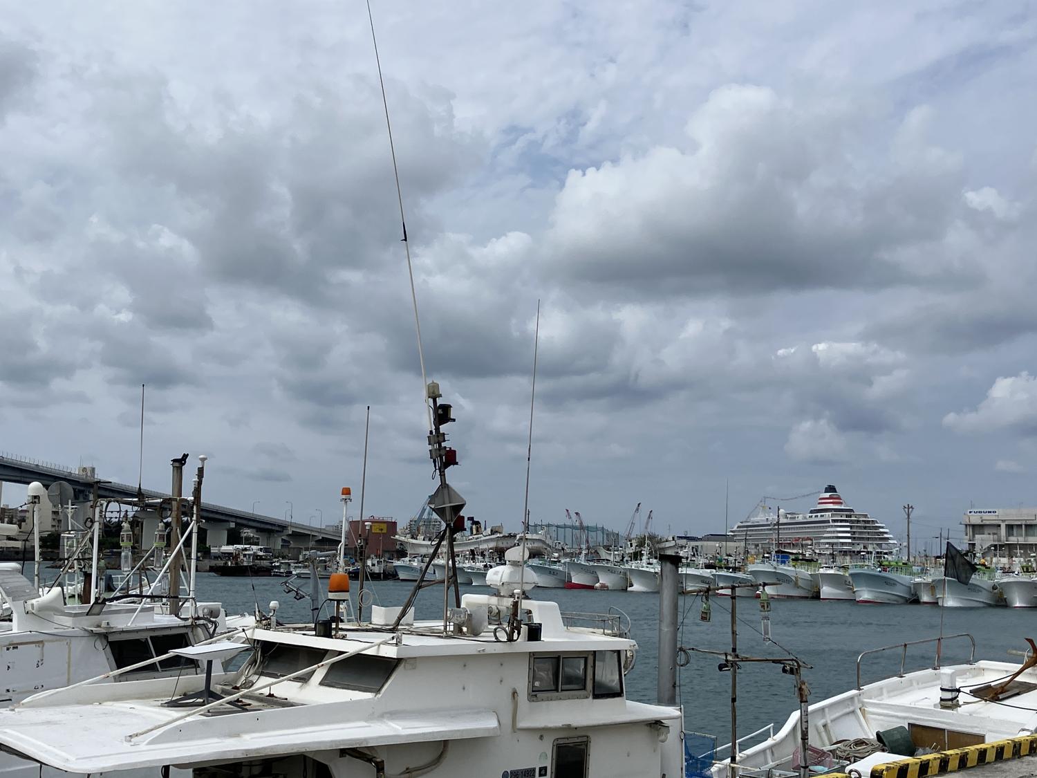 泊港　大型船が見える