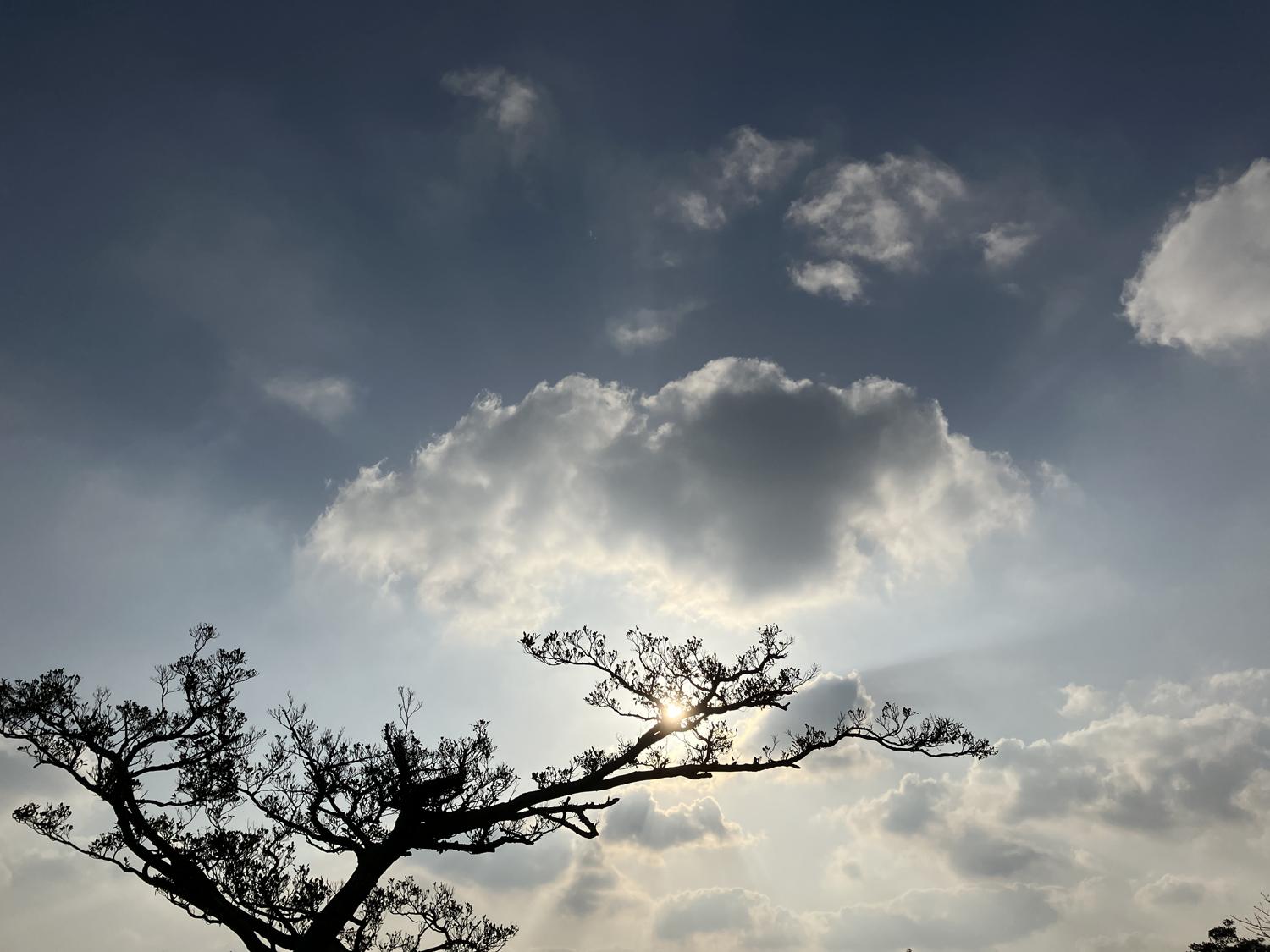 イェスタディの１７時３７分