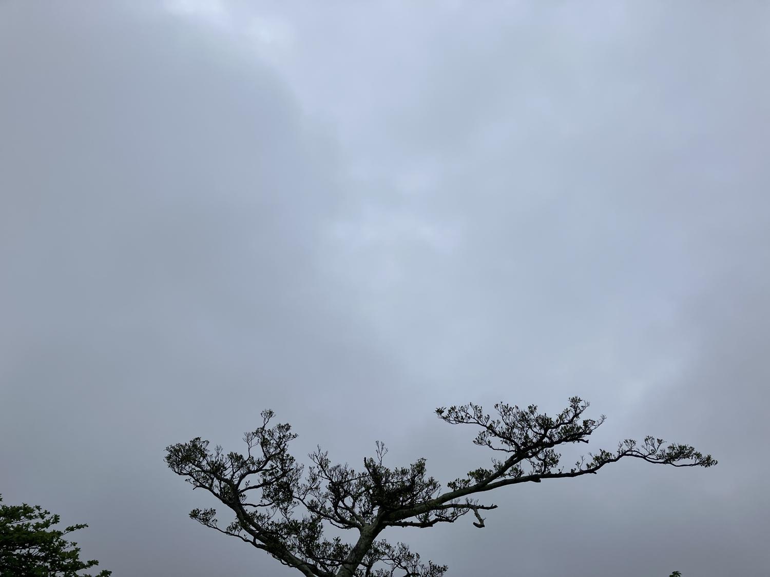 イェスタディの１７時３２分