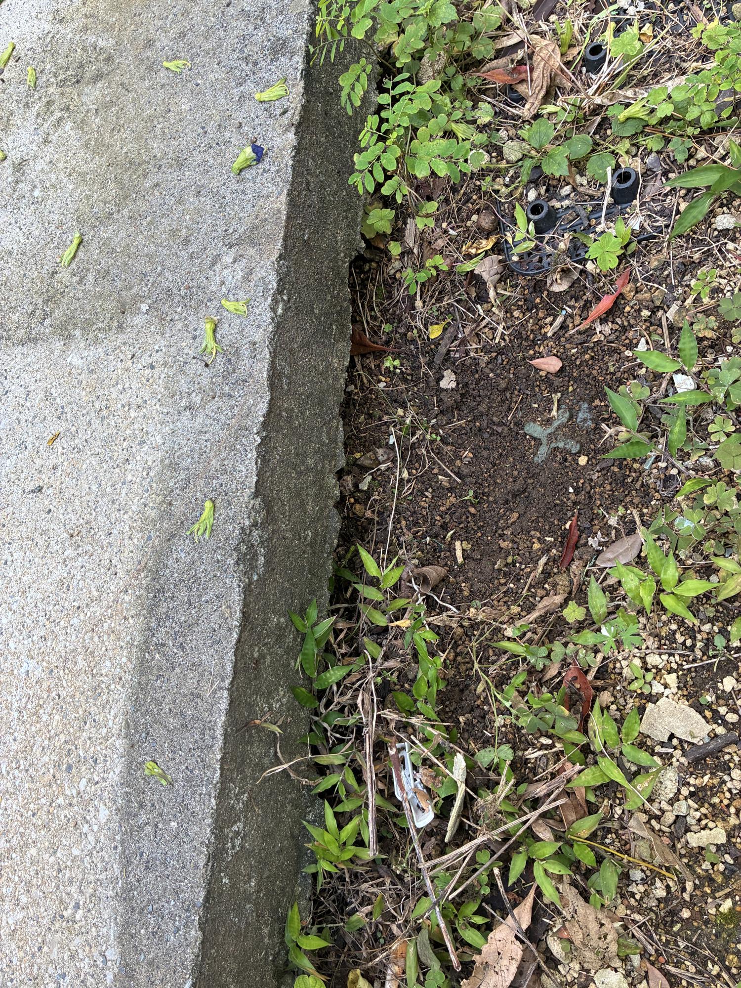 地盤沈下１